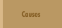 Causes